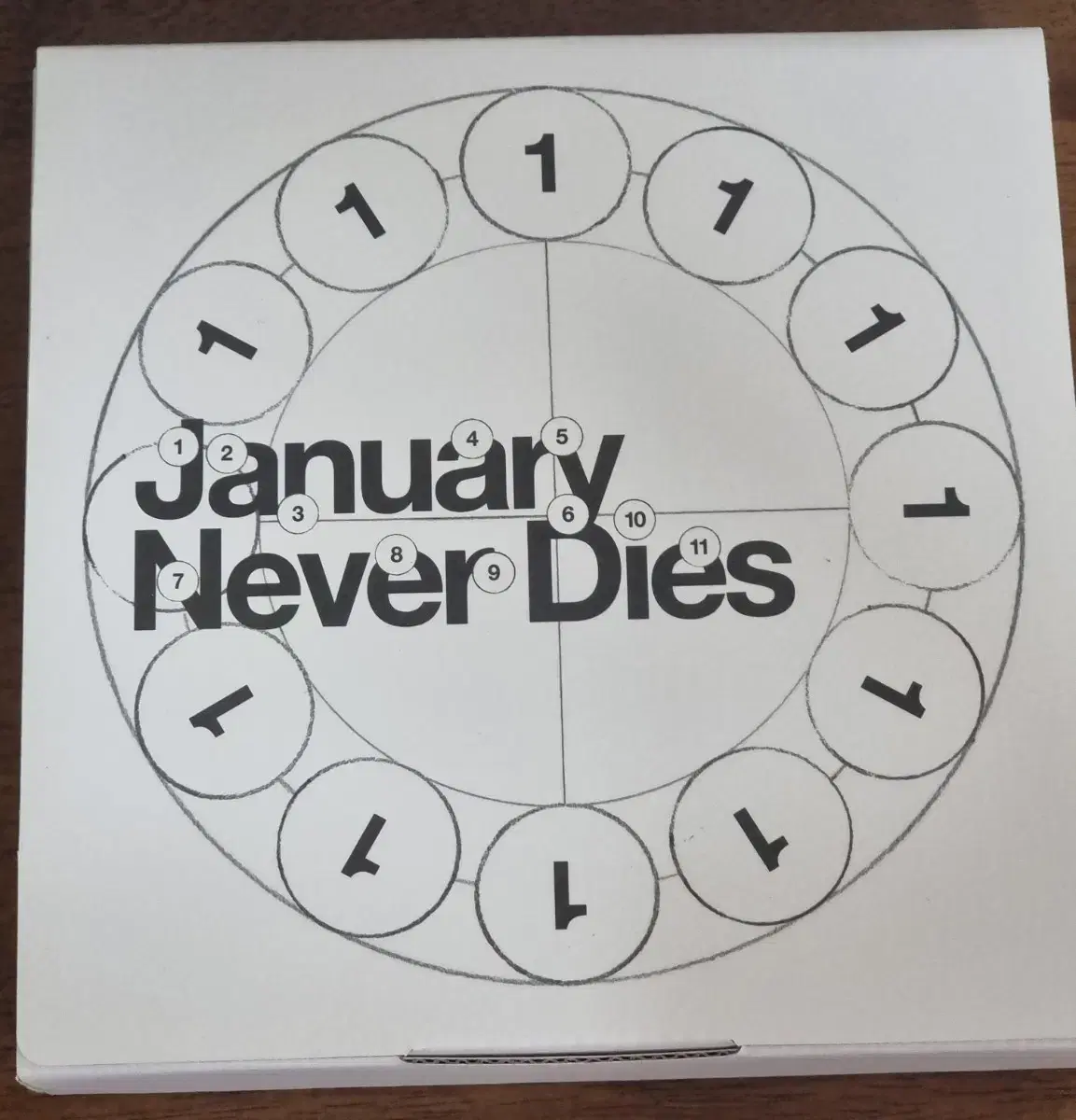 바밍타이거 앨범 January Never Dies 팝니다.